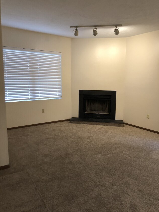Primary Photo - 309 Shaler St