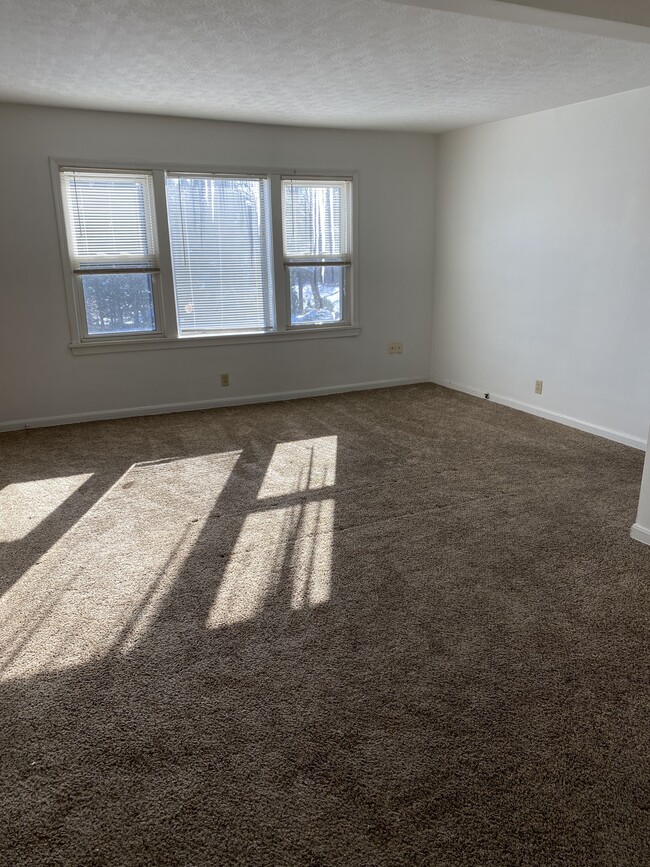 Living Room - 1339 Sackett Ave