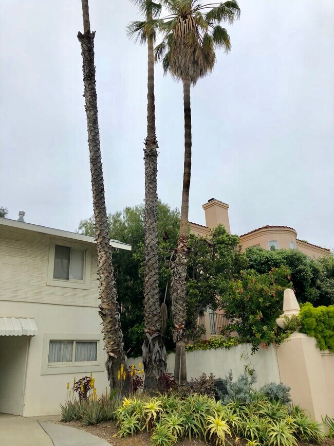 Building Photo - 1521 12th St