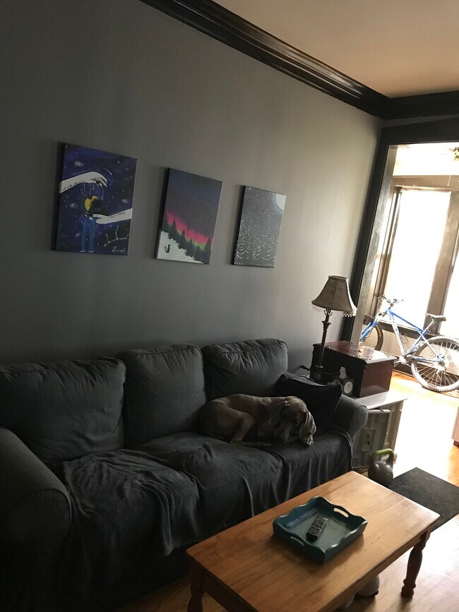 Living Room and Sunroom - 653 E. 50th Place