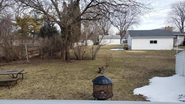 Backyard - 615 Vine St