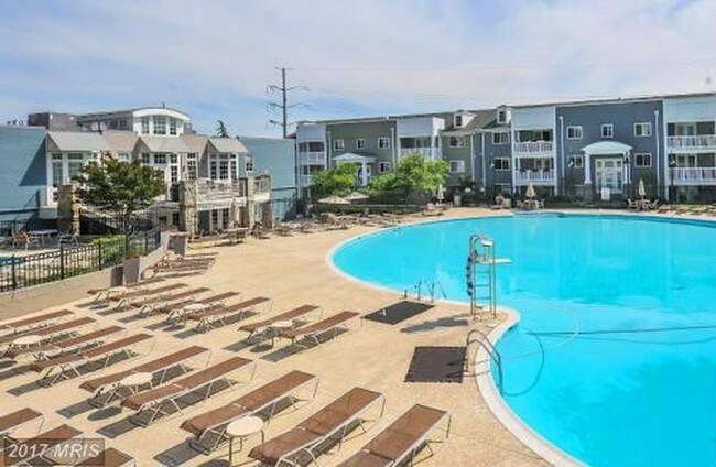 Community pool - 4189 S Four Mile Run Dr