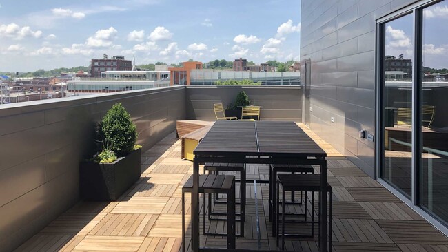 Interior Photo - Terrace on Walnut