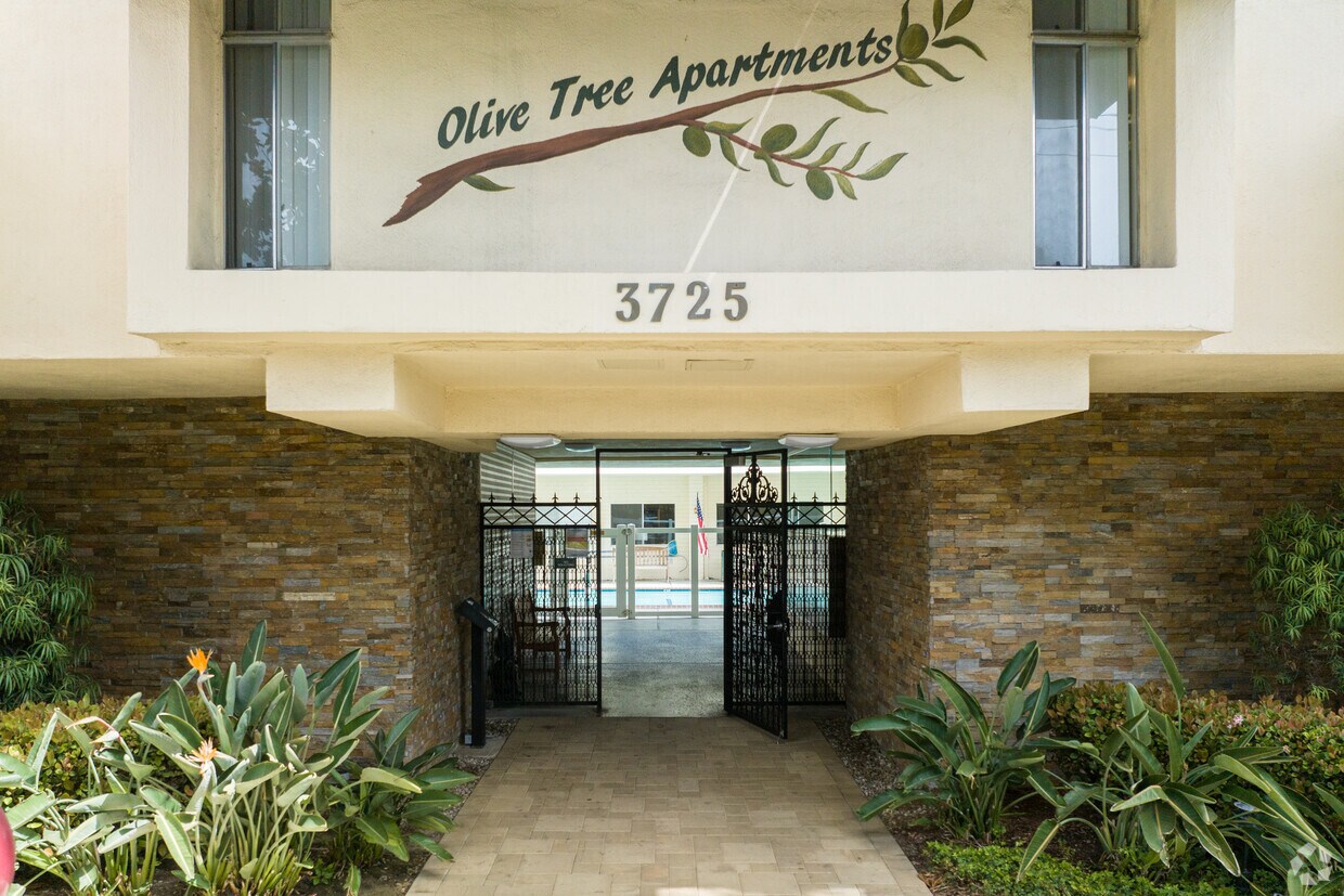Olive Tree Apartments Apartments in Torrance, CA Westside Rentals