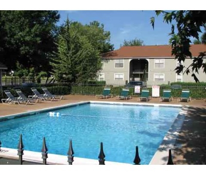 Piscina - Country View Apartments