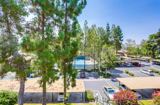 Amazing tree view and tennis courts! - 10278 Black Mountain Rd