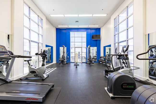 Gimnasio - Luna Warner Center