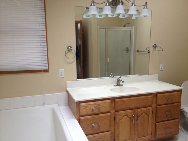 Master Bath - 308 Marsh St