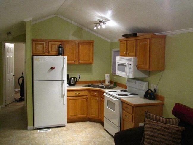 cabin kitchen - 1432 Lenora Dr
