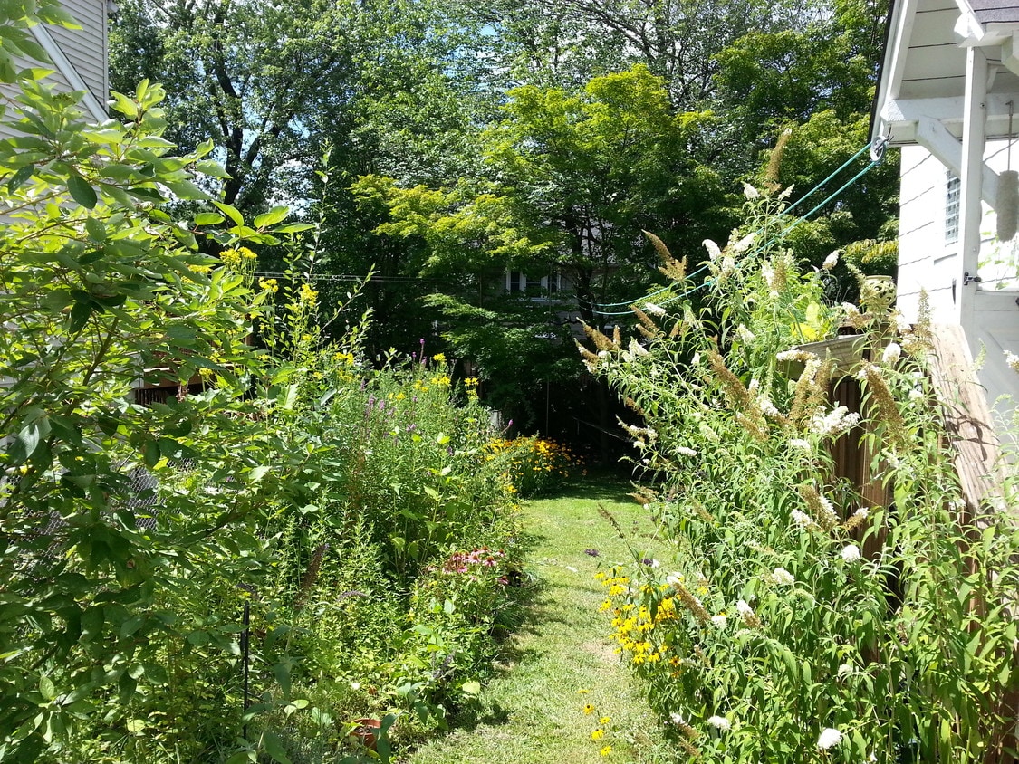 7 Winthrop Ave, Elmsford, NY 10523 House Rental in Elmsford, NY