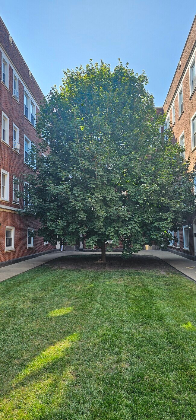 Foto del edificio - 4411 N Winchester Ave