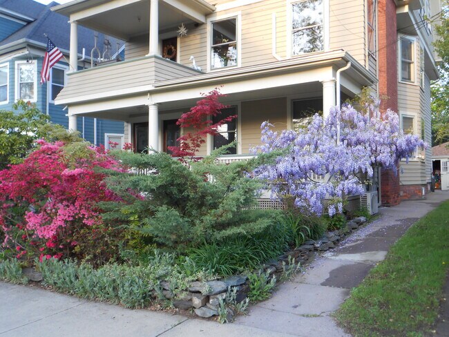 Foto del edificio - 175 Alden Ave