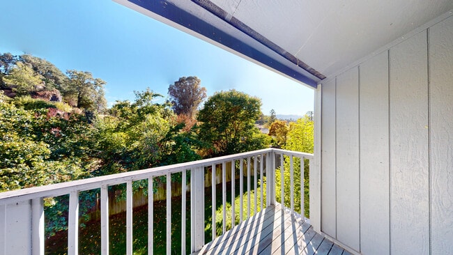 Building Photo - 481 Ignacio Blvd