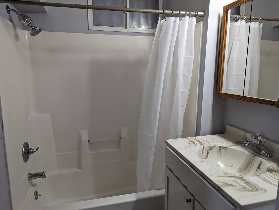 320 Eddy St, Hastings, MN 55033 Townhome Rentals in Hastings MN