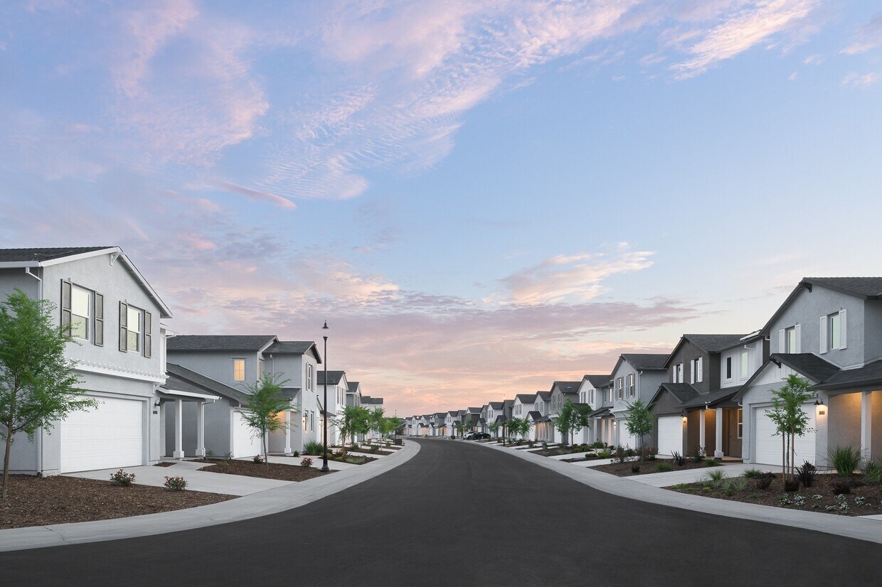 Cyrene at Fiddyment Single Family Homes Houses for Rent