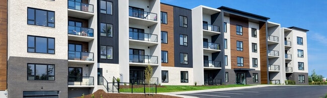 Building Photo - The Marci II at 48