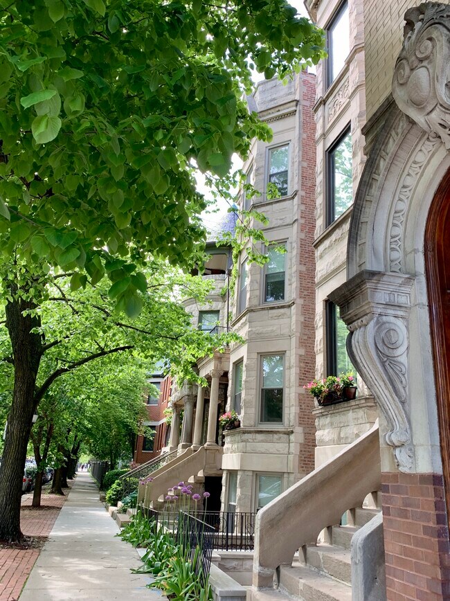 Tree lined Polk Street - 1506 W Polk St