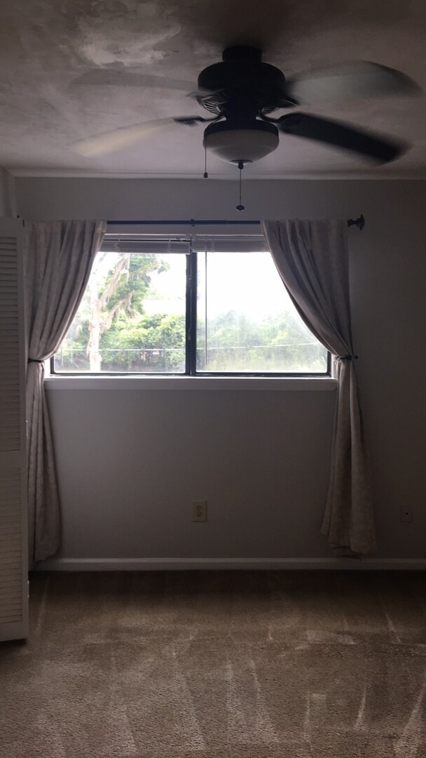 Foto del edificio - 1/1 Overlooking Doak Campbell Stadium @ Se...