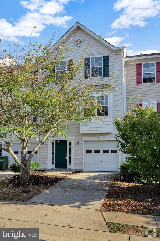 Basement Apartments For Rent in Fredericksburg VA 23 Rentals