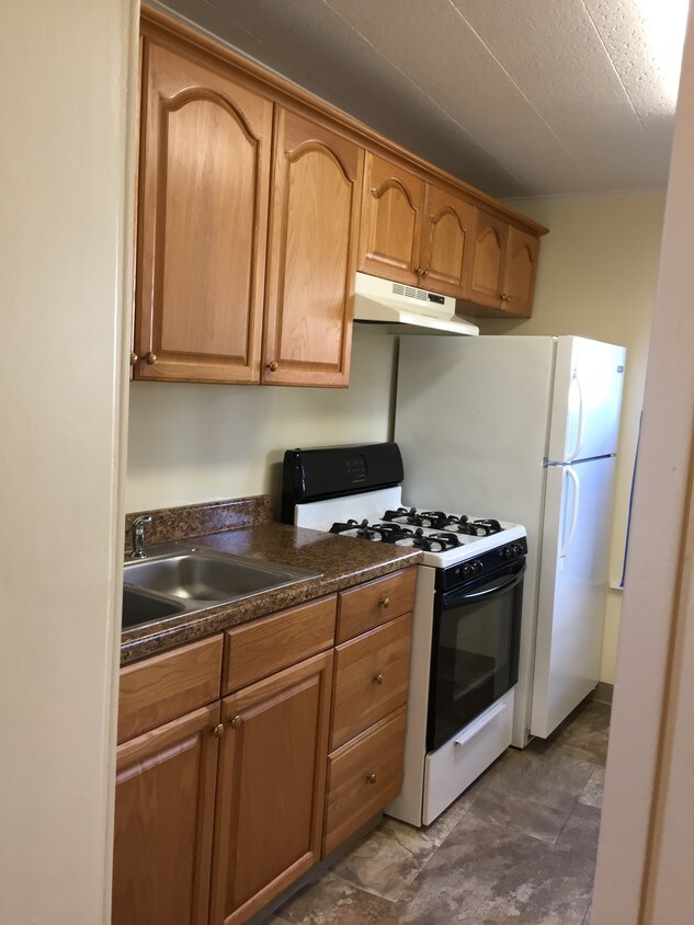 Kitchen with entry to back porch. - 3 Plum St