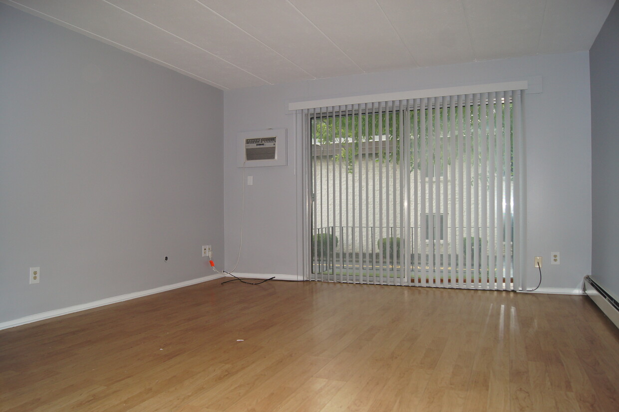 Living Room - 984 S Lincoln St