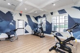 Located in Millcreek, Utah, this dedicated fitness center is a well-appointed exercise space designed to energize and motivate. The room's most striking feature is its bold, large-scale abstract mural spanning the walls, rendered in deep navy blue and white with dynamic brushstroke-style shapes that give the space a vibrant, modern aesthetic.

The fitness center is equipped with multiple LeMond spin bikes arranged in a cycling studio format, along with an elliptical trainer and additional cardio equipment, making it well-suited for a variety of workout routines. A full-length mirror wall runs along one side of the room, visually expanding the space and allowing users to monitor their form during exercise.

Underfoot, light-toned hardwood-style flooring provides a clean, durable surface ideal for fitness activity. Overhead, coffered ceilings with recessed lighting lend an architectural elegance uncommon in typical gym settings, while also brightening the interior. Large, multi-pane windows along the exterior wall invite ample natural light and offer outdoor views, enhancing the open, airy feel of the space. Glass-panel doors provide access to adjacent areas of the facility, contributing to a sense of connectivity and flow throughout the building.