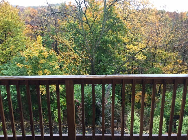 Foto del edificio - 42 Maple St