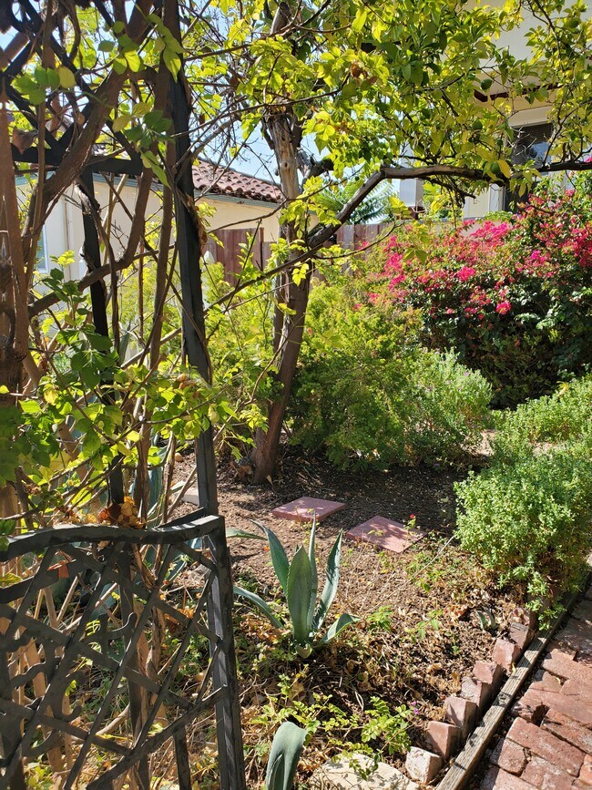 Garden - 455 Washington St