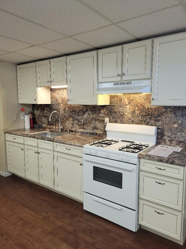 updated kitchen - 321 N Railroad St