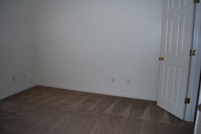 Building Photo - 913Daisy