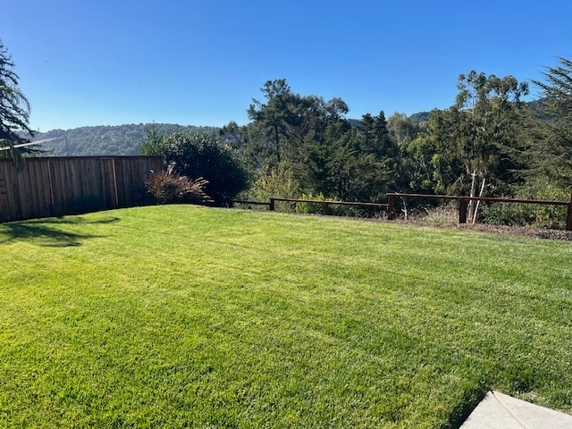 Backyard - 38 Sullivan Dr