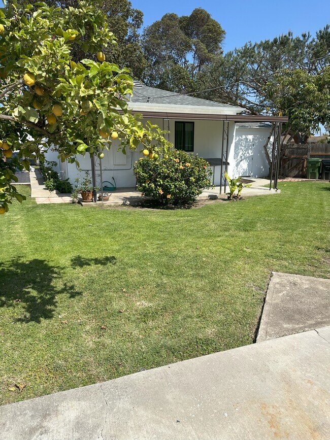 Patio trasero - 4477 Harding Ave