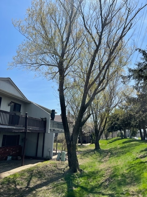 Building Photo - 4015 Marks Rd