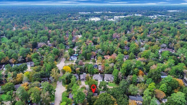 Building Photo - 36 N Morningwood Ct