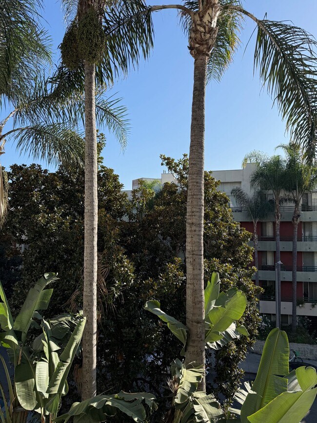 Foto del edificio - Excellent Value and Clean Apartment