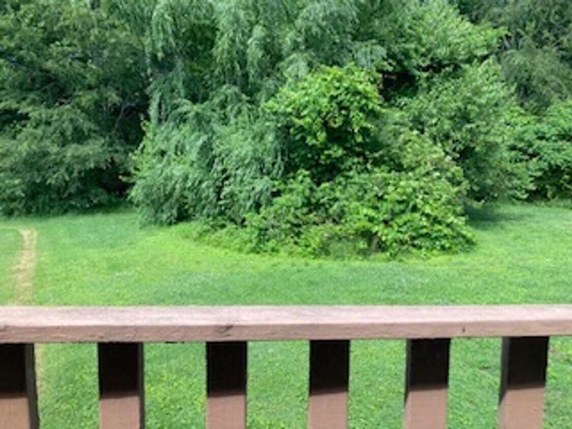 Foto del edificio - 2121 Bracey Cir