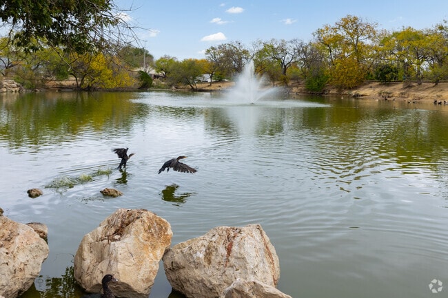 Enjoy scenic landscapes in Helotes.