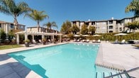 This amenity space features two distinct areas designed to support both active recreation and fitness. The outdoor pool area serves as a central gathering point, showcasing a generously sized swimming pool with clear turquoise water. The surrounding deck is furnished with lounge chairs and shaded by multiple patio umbrellas, while a white pergola structure anchors one side of the space. Mature palm trees and lush greenery frame the area, complementing the warm, sunny climate and creating a resort-like atmosphere beneath open blue skies.

The fitness center is a bright, well-appointed facility benefiting from an abundance of natural light streaming through large, floor-to-ceiling windows fitted with adjustable blinds. High ceilings fitted with ceiling fans contribute to an open, airy feel throughout. The space is equipped with a comprehensive selection of cardio machines, including Matrix treadmills and elliptical trainers, positioned to take advantage of garden views. A dedicated strength and functional training zone features kettlebells, TRX suspension trainers, and additional resistance equipment organized on a structured rack. Full-length mirrors along one wall visually expand the space, while durable rubberized flooring provides a practical surface for varied workouts. A water station near the entrance ensures convenient hydration access.