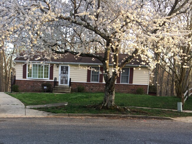 Building Photo - 11011 Hidden Creek Ct