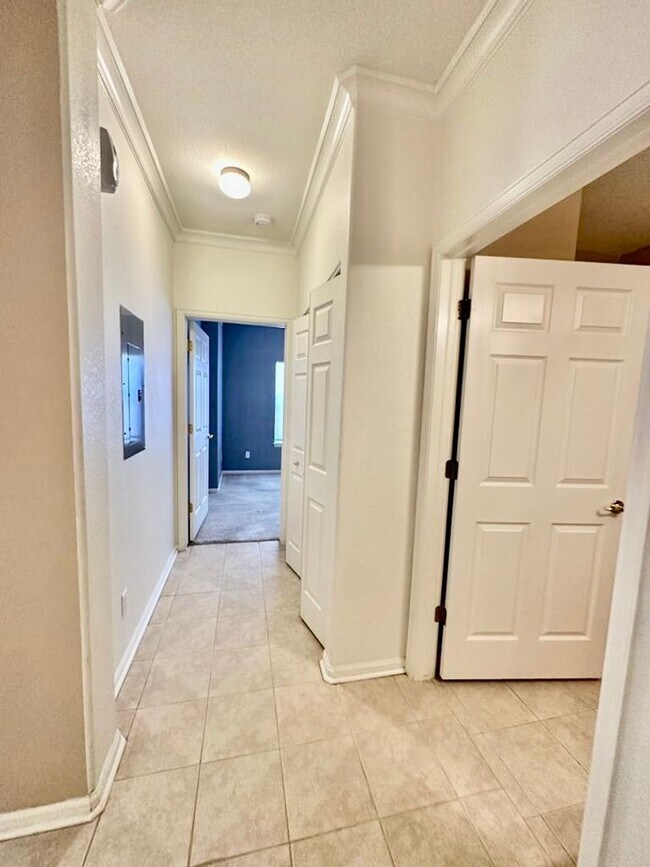 Building Photo - 2-bedroom  condo near Lowry Park your home!!!!