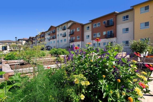 Community Garden - Affinity at Wells Branch 55+