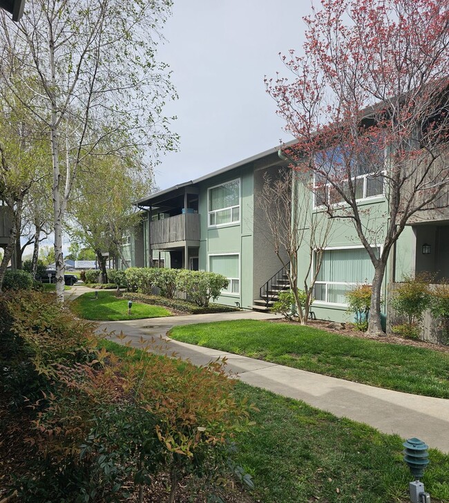 Interior Photo - Chico Meadows Apartments
