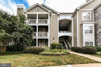 Building Photo - 1716 Lake Shore Crest Dr
