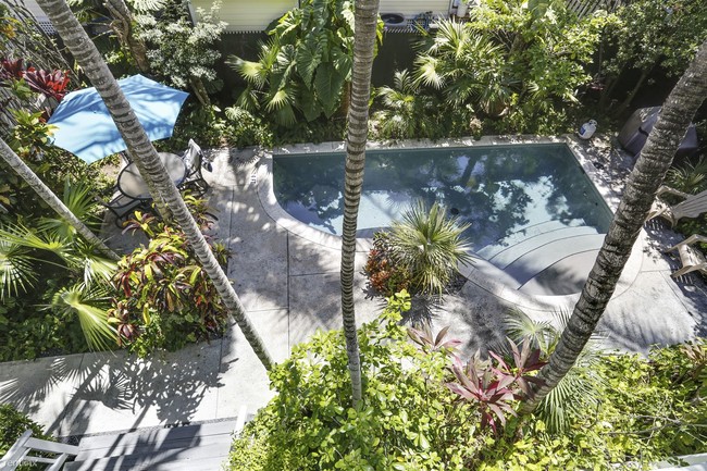 Foto del edificio - 2 br, 2 bath  - Treetop Paradise