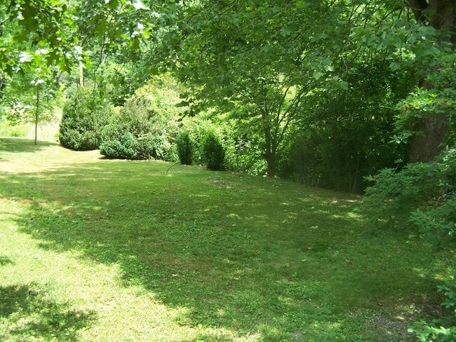 Foto del edificio - 1 Bedroom/1 Bath House with bonus office space on Fisher Creek in Sylva NC $1100 a month with a y...