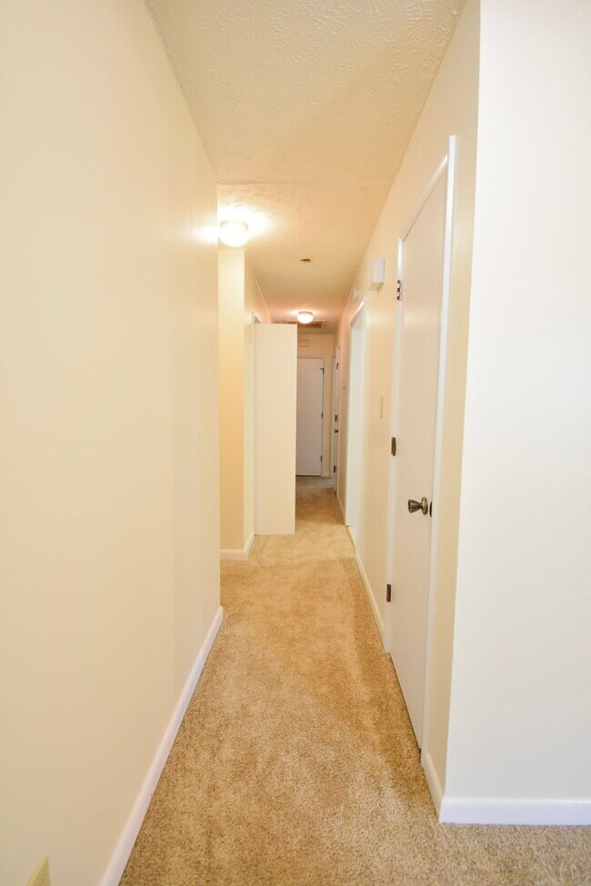 Foto del edificio - Fully Renovated 3 Bedroom 2 Bathroom- No Pets