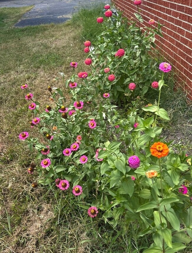 Building Photo - 16 Wagon Trail Rd