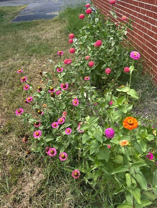 Foto del edificio - 16 Wagon Trail Rd