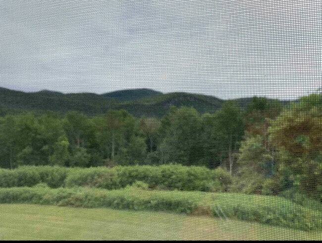 Foto del edificio - 708 Butternut Hill Rd