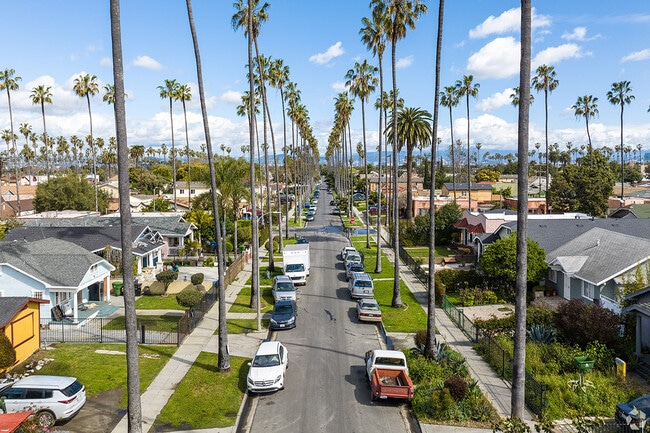 Palm trees line streets.
